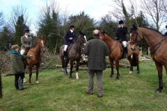 DSC02446_Custom
