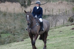 DSC01591_Custom