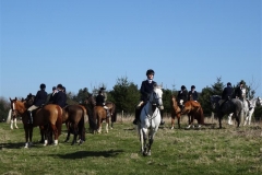 DSC03232_Custom