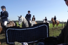 DSC03278_Custom
