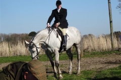 DSC03292_Custom