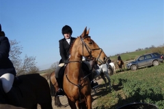 DSC03320_Custom