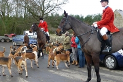 P1040592_Custom