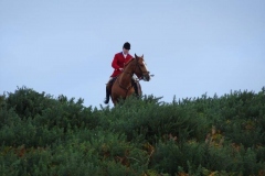 DSC00960