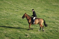 DSC01911_Custom