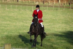 DSC01930_Custom