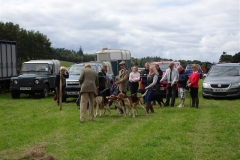 bellingham show 26 august 2017