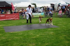 DSC08543_Custom