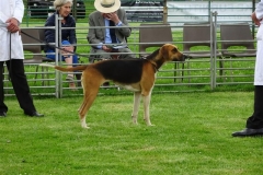 DSC08589_Custom