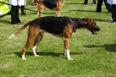 DSC06471