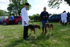 blaston 30 june 2019