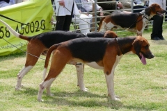 P1000350