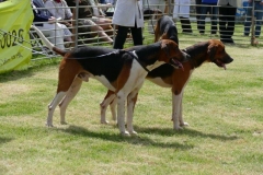 P1000360