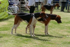 P1000361