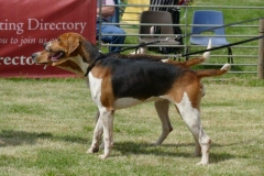 P1000400