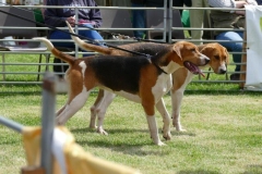 P1000420