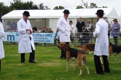 DSC03253_Custom