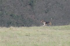 DSC09901_Custom