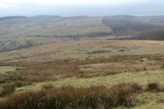 P1000529