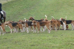 P1000535