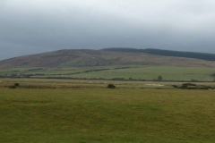 P1000538