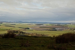 DSC03879