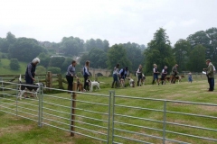 Dog and  Hound Show 04 July 2021