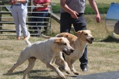 36403834_10216166261649417_5988480898041905152_o