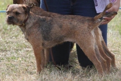 36407736_10216166544216481_8698932027224752128_o