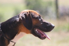 36413481_10216166262369435_8017668369182359552_o