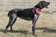 36440214_10216166436493788_4336725996003655680_o