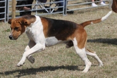 36440755_10216166256449287_1057135586353086464_o