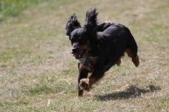 36447311_10216166433773720_6313345214924718080_o