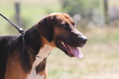 36464067_10216166258089328_4292483507822788608_o