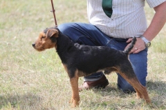 36474440_10216166538296333_9212296020573028352_o