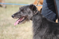 36475814_10216166538696343_5990815891372113920_o