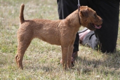 36479522_10216166463574465_8132732656166109184_o