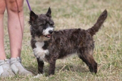 36488672_10216166548256582_1732522148586586112_o