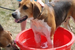 36492384_10216166293210206_243890546832048128_o