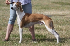 36508073_10216166539736369_5903405155050586112_o