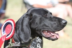 36513688_10216166554096728_8098548977097506816_o