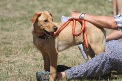 36522078_10216166419813371_1400730496131923968_o