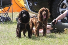 36528615_10216166448334084_5915526660861460480_o