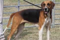 36563453_10216166292210181_6109586679297736704_o