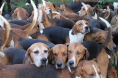 Christmas_2011_010_Custom