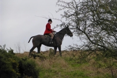 P1000387_Custom