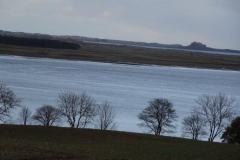 DSC03009