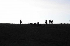 DSC03025