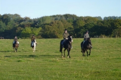 P1070170_Custom