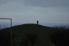 DSC03535